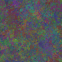 World at epoch 49000