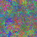 World at epoch 35000