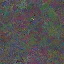 World at epoch 50000