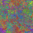World at epoch 40000