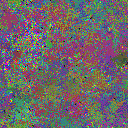 World at epoch 25000