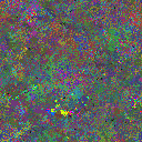 World at epoch 24000