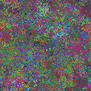 World at epoch 25000