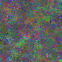 World at epoch 25000