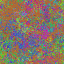 World at epoch 49000