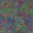 World at epoch 55000