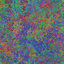 World at epoch 49000