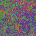 World at epoch 35000