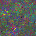 World at epoch 37000
