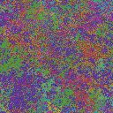 World at epoch 38000