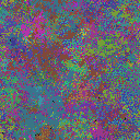 World at epoch 40000