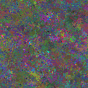World at epoch 49000