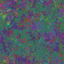 World at epoch 37000