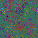 World at epoch 39000