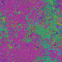 World at epoch 47000
