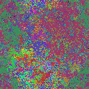 World at epoch 24000