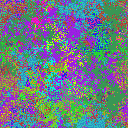 World at epoch 15000