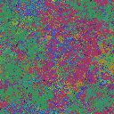 World at epoch 25000