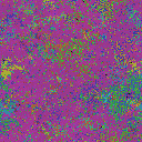 World at epoch 50000