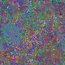 World at epoch 50000