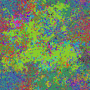 World at epoch 35000