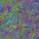 World at epoch 44000