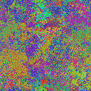 World at epoch 35000