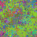 World at epoch 38000