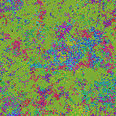 World at epoch 60000