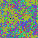 World at epoch 41000
