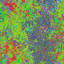 World at epoch 45000