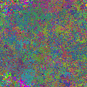 World at epoch 25000
