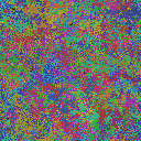 World at epoch 50000