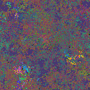 World at epoch 31000