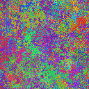 World at epoch 40000