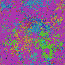 World at epoch 44000