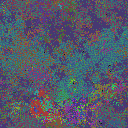 World at epoch 35000
