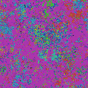 World at epoch 48000