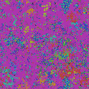 World at epoch 50000
