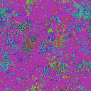 World at epoch 51000