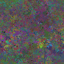 World at epoch 44000