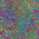World at epoch 37000