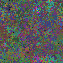 World at epoch 48000