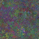 World at epoch 49000