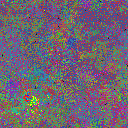World at epoch 39000