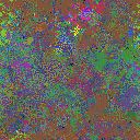 World at epoch 48000