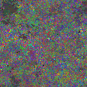 World at epoch 22000