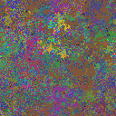 World at epoch 49000
