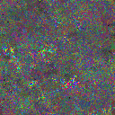 World at epoch 25000