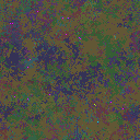 World at epoch 35000